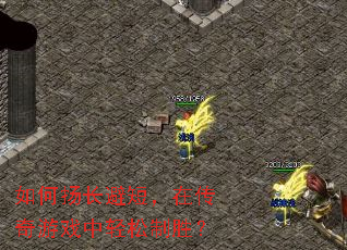 ����ﳤ�̣ܶ��ڴ�����Ϸ��������ʤ��