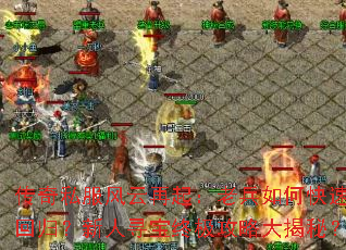 ����˽�����������ϱ���ο��ٻع飿����Ѱ���ռ����Դ���أ�