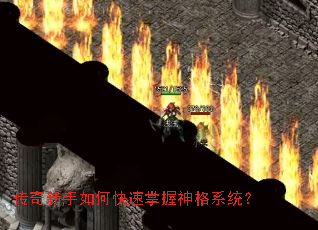 ����������ο����������ϵͳ��