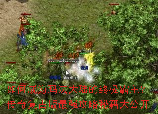 ��γ�Ϊ�귨��½���ռ����������渴�Ű���ǿ�����ؼ��󹫿�