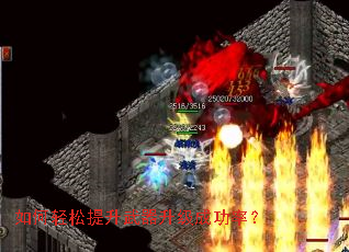 ��������������������ɹ��ʣ�