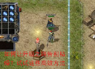 ���������֮·�����������Щ��Ч����