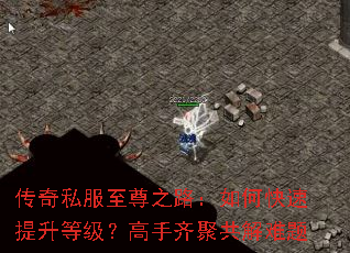 ����˽������֮·����ο��������ȼ���������۹�������