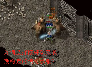 ���ѡ��Ⱥ����ֳ����ȶ��Ĵ���˽����