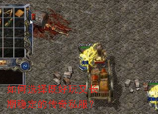 ���ѡ��Ⱥ����ֳ����ȶ��Ĵ���˽����