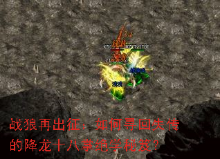 ս���ٳ��������Ѱ��ʧ���Ľ���ʮ���ƾ�ѧ���ţ�