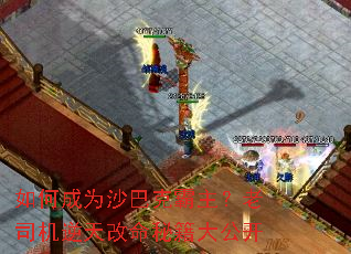 ��γ�Ϊɳ�Ϳ˰�������˾����������ؼ��󹫿�