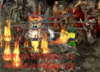 ��γ�Ϊɳ�Ϳ˰�������˾����������ؼ��󹫿�