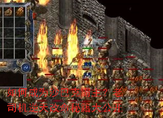 ��γ�Ϊɳ�Ϳ˰�������˾����������ؼ��󹫿�