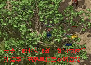 ������ְҵ˽��������ο����������ʣ��߱��ʴ򱦹�������