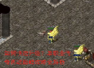 ��ο�����������ְҵ������ս�۷幥��ȫ����