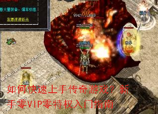 ��ο������ִ�����Ϸ��������VIP����Ȩ����ָ��