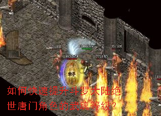 如何快速提升斗罗大陆绝世唐门角色的武魂等级? 如何快速提升斗罗大陆绝世唐门角色的武魂等级?