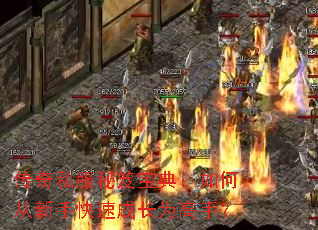 传奇私服秘笈宝典:如何从新手快速成长为高手? 传奇私服秘笈宝典:如何从新手快速成长为高手?