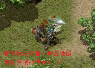 新手玩家必看:哪些地图最适合搜服传奇入门? 新手玩家必看:哪些地图最适合搜服传奇入门?