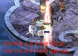 ��ο���������������;�������ֵ����ֵĽ��׹���ָ��