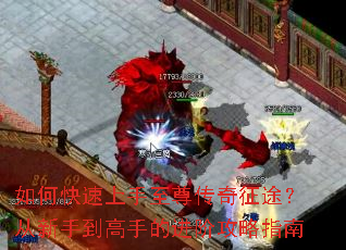 ��ο���������������;�������ֵ����ֵĽ��׹���ָ��