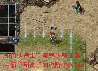 ��ο���������������;�������ֵ����ֵĽ��׹���ָ��