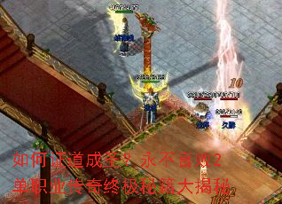 ���֤����ʥ�������԰�2��ְҵ�����ռ��ؼ������