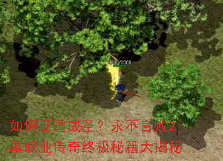 ���֤����ʥ�������԰�2��ְҵ�����ռ��ؼ������