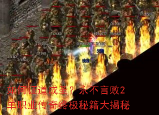 ���֤����ʥ�������԰�2��ְҵ�����ռ��ؼ������