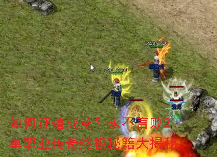 ���֤����ʥ�������԰�2��ְҵ�����ռ��ؼ������