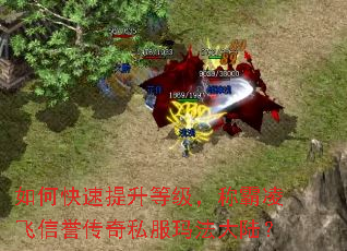 如何快速提升等级,称霸凌飞信誉传奇私服玛法大陆? 如何快速提升等级,称霸凌飞信誉传奇私服玛法大陆?