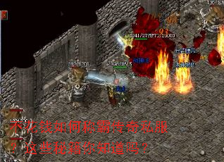 不花钱如何称霸传奇私服?这些秘籍你知道吗? 不花钱如何称霸传奇私服?这些秘籍你知道吗?