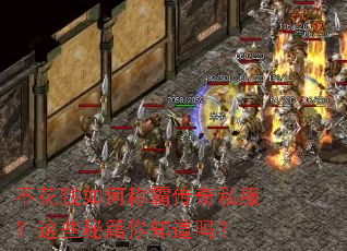 不花钱如何称霸传奇私服?这些秘籍你知道吗? 不花钱如何称霸传奇私服?这些秘籍你知道吗?