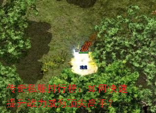 ����˽�����а���ο�������ս����Ϊ������֣�