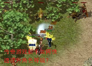 ������Ϸ������ο���������ɫ�ȼ���