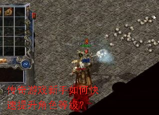 ������Ϸ������ο���������ɫ�ȼ���