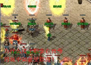 Ϊʲô��ʿְҵ�ڴ�����Ϸ������ܻ�ӭ��