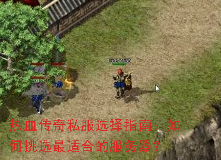 ��Ѫ����˽��ѡ��ָ�ϣ������ѡ���ʺϵķ�������