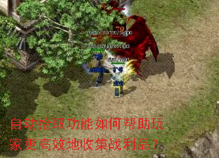 �Զ�ʰȡ������ΰ�����Ҹ���Ч���ռ�ս��Ʒ��