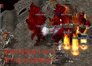 ����3˽��սʿ����Ƿ���Ϊ����ְҵ��