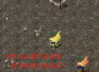 ����2026���¿�������������ο����ƾ֣�