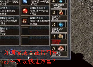 �����ɱ��ڴ���˽����ʵ�ֿ����¸���