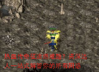 ��Ѫ������;�����⣿�������һվʽ��������������