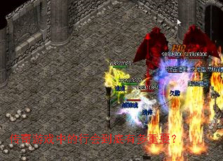 ������Ϸ�е��лᵽ���ж���Ҫ��