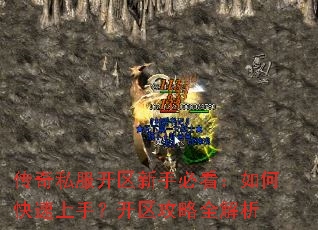 ����˽���������ֱؿ�����ο������֣���������ȫ����