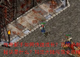 ����������ο��ٳɳ�����ս��ʤ���ؾ���ʲô���귨��½����ȫ���ԣ�