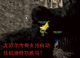 ���ֶ�����֧���Զ��һ���ש������