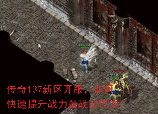 ����137������������ο�������ս����սɳ�Ϳˣ�