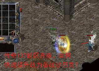 ����137������������ο�������ս����սɳ�Ϳˣ�