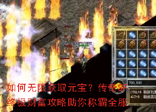 ������޻�ȡԪ��������SF�ռ��Ƹ���������ư�ȫ��