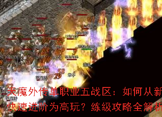 ��ħ�⴫��ְҵ��ս������δ����ֿ��ٽ���Ϊ���棿��������ȫ����