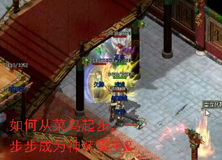 如何从菜鸟起步,一步步成为神装霸主? 如何从菜鸟起步,一步步成为神装霸主?
