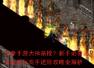 �������δ������ڣ����ֱؿ�ͨ���ؼ�����ֽ��׹���ȫ����