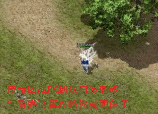 ������սPK�����ж�̼���������ƪ�������������